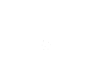Optima Canine Products Norfolk